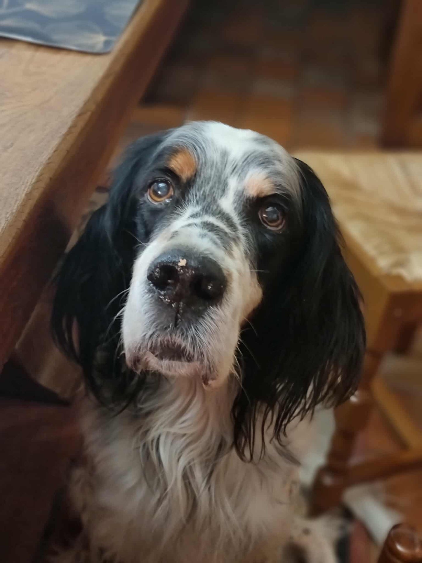 Porte-clés en Buis Gravé Photo