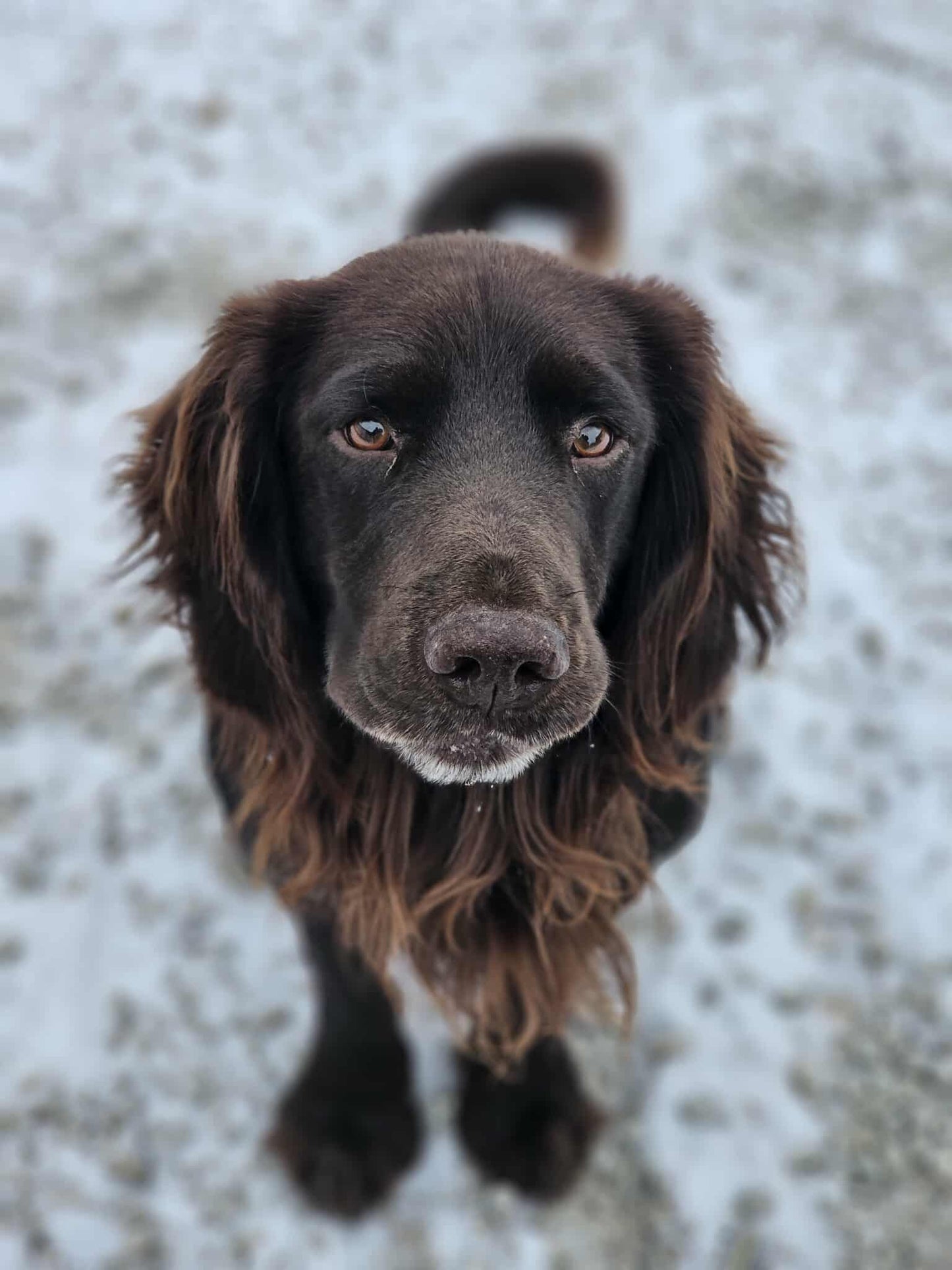 Porte-clés en Buis Gravé Photo