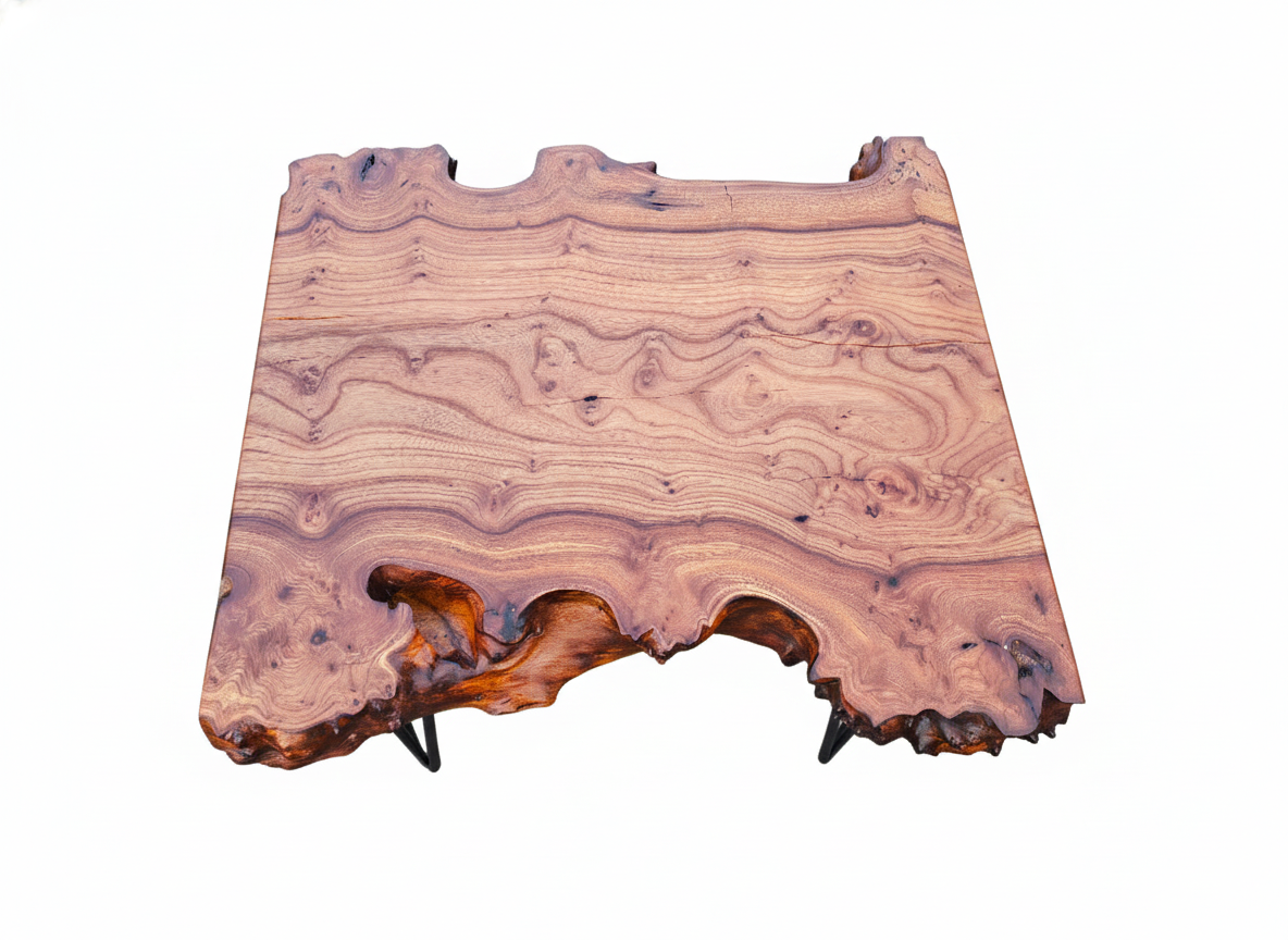 Bout de Canapé en Loupe d'Orme Massif