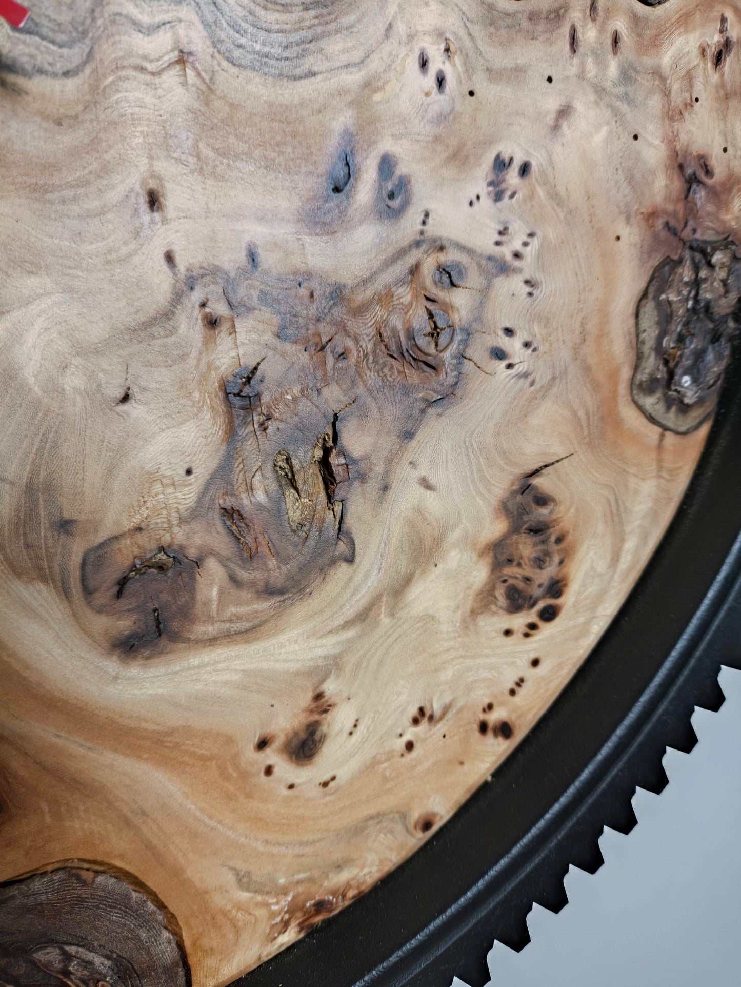 Horloge murale en loupe d'Orme